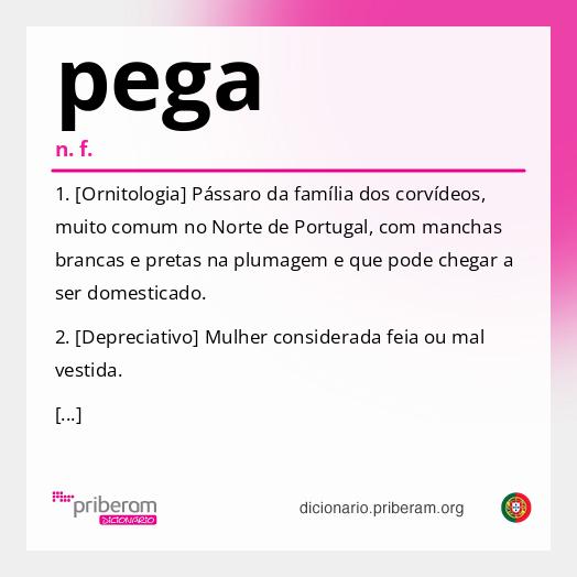 Significado de pega
